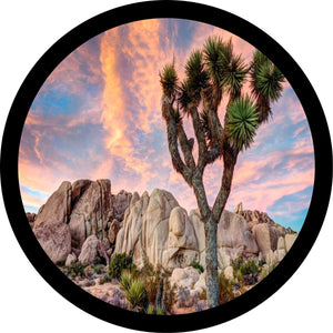 Joshua Tree National Park