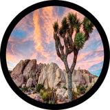 Joshua Tree National Park