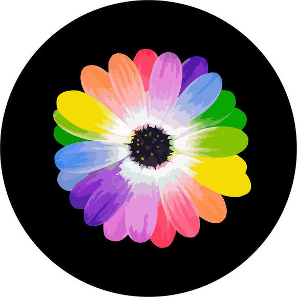 Rainbow Daisy Flower