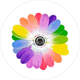 Rainbow Daisy Flower